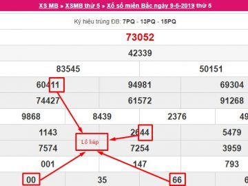 Lô kép dễ chơi, hiệu quả cao, tốn ít thời gian nghiên cứu